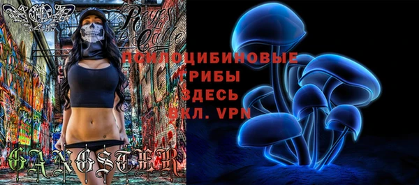 спиды Михайловка