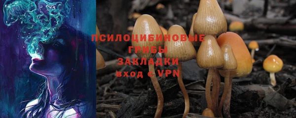спиды Михайловка